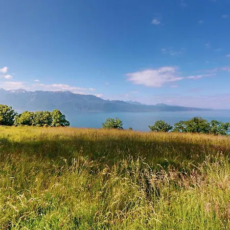 Panoramic View - In The Heart Of Lavaux