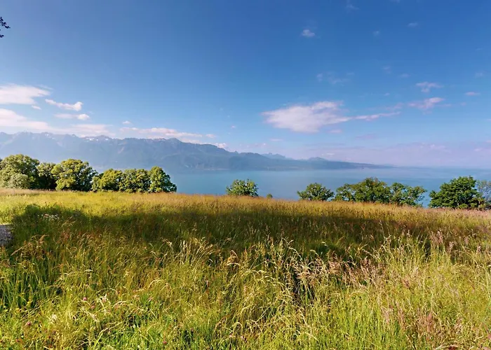 Panoramic View - In The Heart Of Lavaux